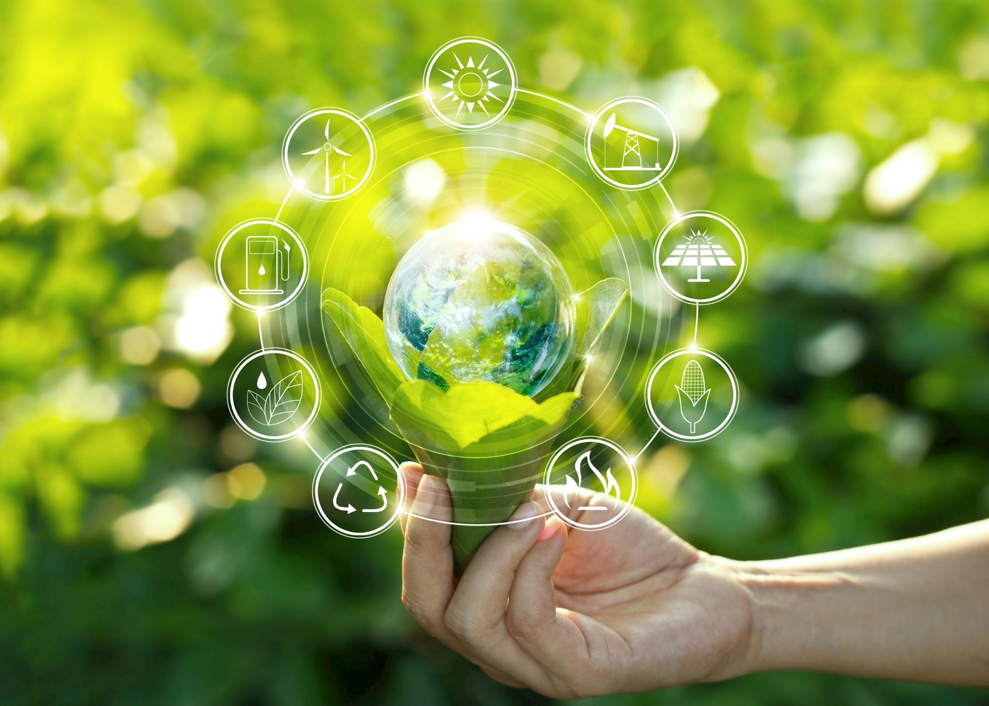 Bioeconomia: conceito e importância