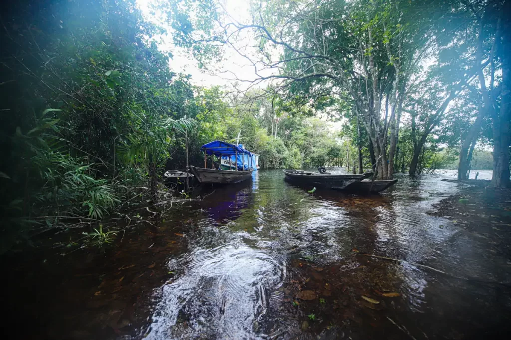 Nova Economia da Amazônia pode adicionar R$ 40 bilhões ao PIB em 2050