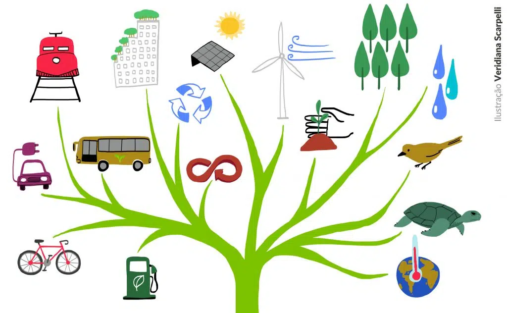 Por que o Brasil precisa de uma taxonomia verde