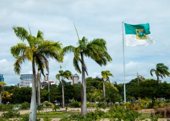 Pequenos negócios geraram mais da metade dos novos empregos em julho no RN
