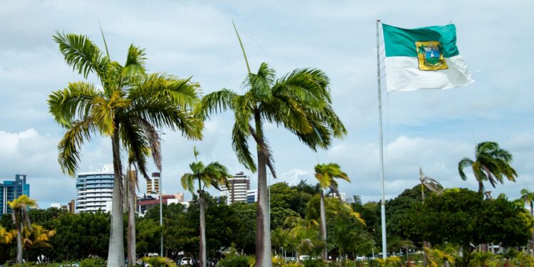 Pequenos negócios geraram mais da metade dos novos empregos em julho no RN