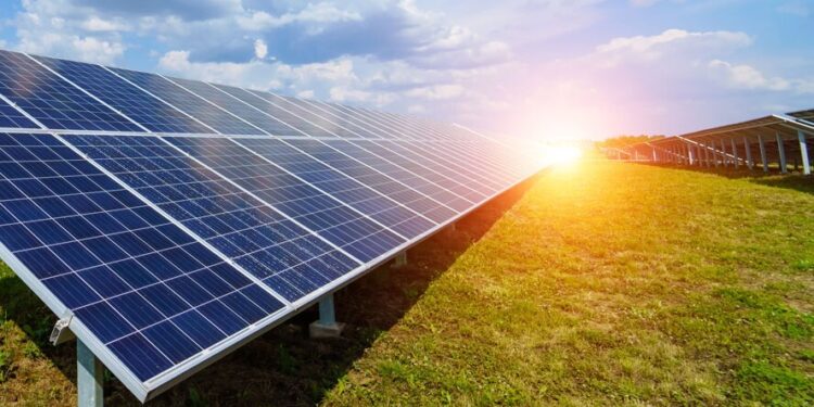 Trinity Energias investe R$ 300 milhões em usinas no Nordeste e projeta R$ 2 bi de faturamento em 2023