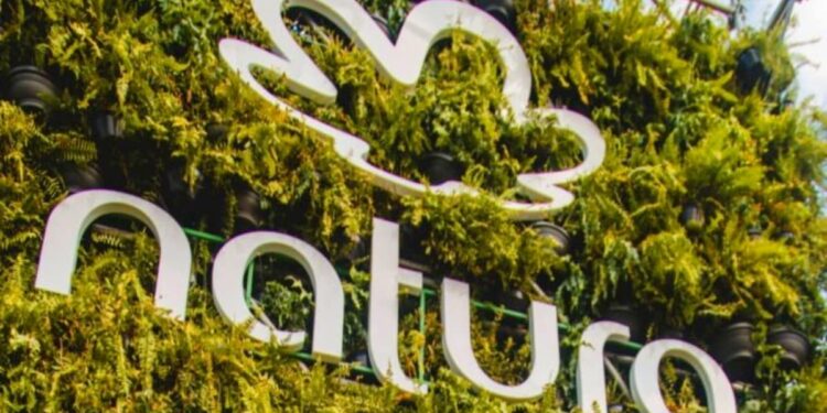 Natura aumenta ambição antidesmatamento e de carbono