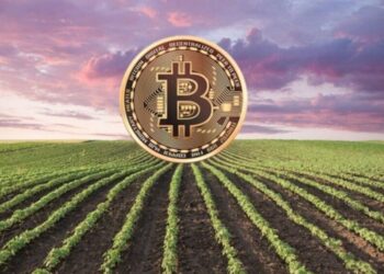 Agrotoken continua seu processo de expansão e escolhe São Paulo como sua sede regional