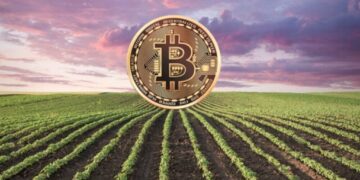 Agrotoken continua seu processo de expansão e escolhe São Paulo como sua sede regional