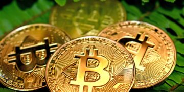De vilãs do clima a criptos verdes? Como ficaram os ativos digitais após pressão ESG