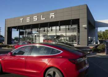 Tesla quer construir fábrica de sistemas de armazenamento de bateria na Índia