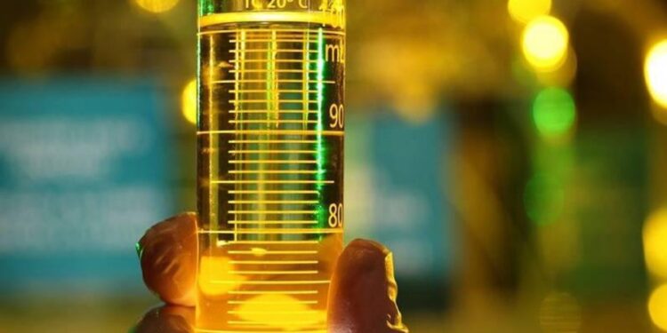 APROBIO: Aliança Global destaca posição dos biocombustíveis como solução imediata para a transição energética no mundo