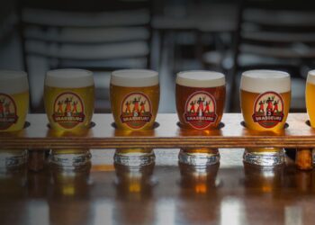 Cerveja francesa com sotaque nordestino: BHF negocia 3Brasseurs