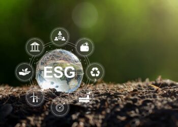 Investimentos em ESG em Wall Street têm caído; entenda por quê
