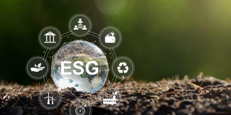 Investimentos em ESG em Wall Street têm caído; entenda por quê