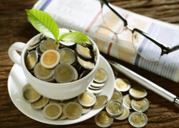 Primeira emissão de títulos verdes tem renda de US$ 2 bilhões