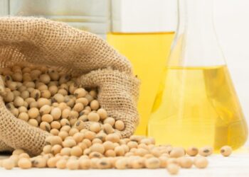 Tradings agrícolas anunciam investimentos de US$ 10 bilhões no Brasil nos próximos anos