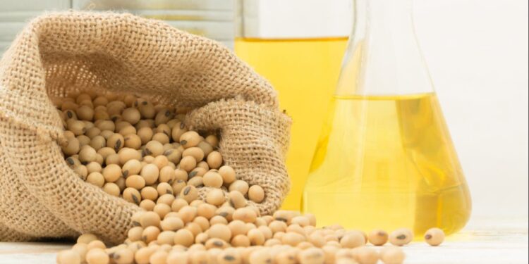 Tradings agrícolas anunciam investimentos de US$ 10 bilhões no Brasil nos próximos anos