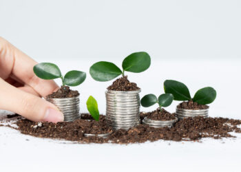 Dividend Yield não é tudo: por que ele não deve ser o indicador fundamental ao escolher um investimento