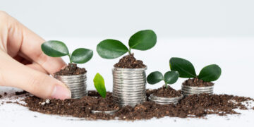 Dividend Yield não é tudo: por que ele não deve ser o indicador fundamental ao escolher um investimento