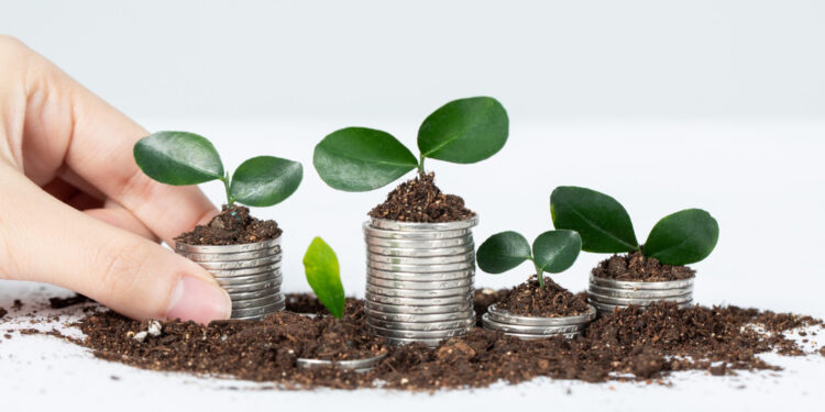 Dividend Yield não é tudo: por que ele não deve ser o indicador fundamental ao escolher um investimento