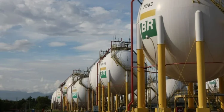 Petrobras (PETR4) avalia como atrair investimentos de árabes para fertilizantes, diz CEO