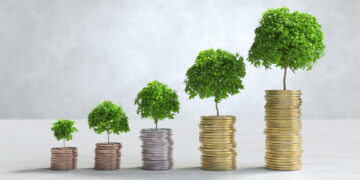 Quanto investir para ter R$ 10 mil, R$ 15 mil e R$ 20 mil em um ano?