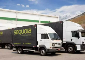 Anúncio de fusão da Sequoia com MOVE3 faz ações aumentarem 110%