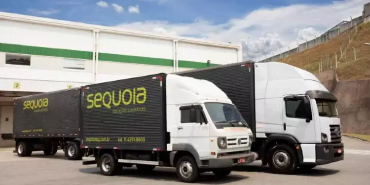 Anúncio de fusão da Sequoia com MOVE3 faz ações aumentarem 110%