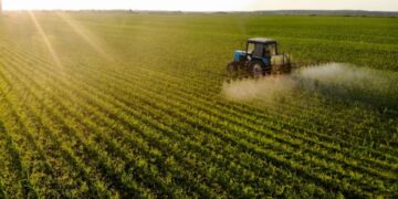 LCA: o que é, como investir e quanto rende a Letra de Crédito do Agronegócio?
