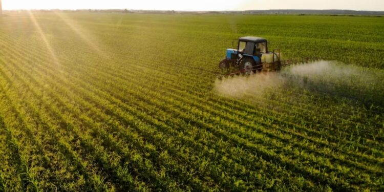 LCA: o que é, como investir e quanto rende a Letra de Crédito do Agronegócio?