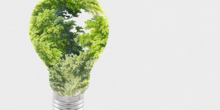 Integração ESG em fundos deve voltar com força em 2024