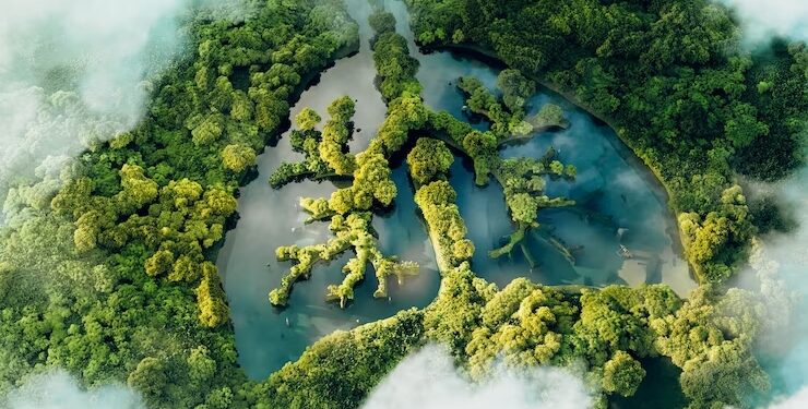 Produtos biológicos colaboram com a diminuição da pegada de carbono do campo
