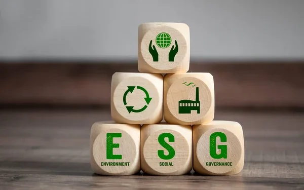 Práticas de ESG: as empresas estão preparadas?