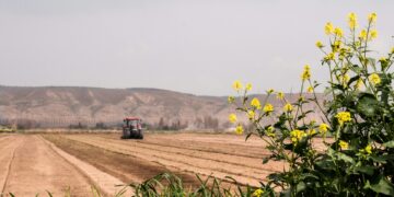 6 estratégias de marketing para expansão do agronegócio
