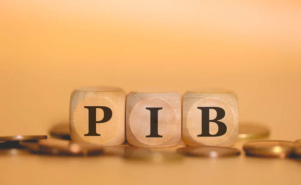 PIB cresce 2,9% em 2023 e leva Brasil de volta às 10 maiores economias do mundo