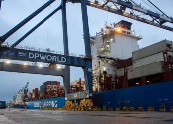Mulheres no porto: profissionais da DP World ocupam cargos inéditos e compartilham trajetórias de sucesso
