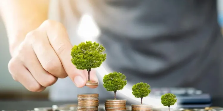 Só 17% dos bonds com metas sustentáveis seguem a ciência