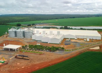 Boa Safra levanta R$ 300 milhões em follow-on; ação sai a R$ 16,50