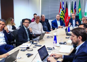 Sudene discute com missão do BRICS captação de recursos para FDNE