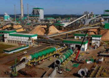 Klabin (KLBN11) aprova aumento de capital de R$ 1,6 bilhão e bonifica investidores com ações