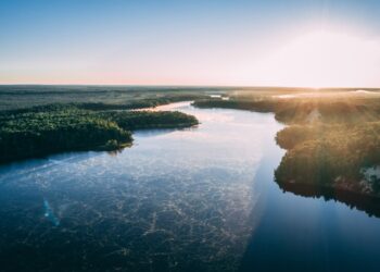 Ninhos artificiais de madeira para a arara azul contribuem com a conservação da biodiversidade no Pantanal