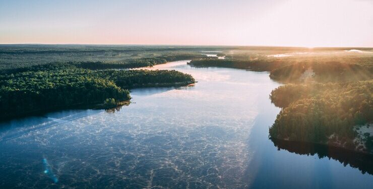 Ninhos artificiais de madeira para a arara azul contribuem com a conservação da biodiversidade no Pantanal