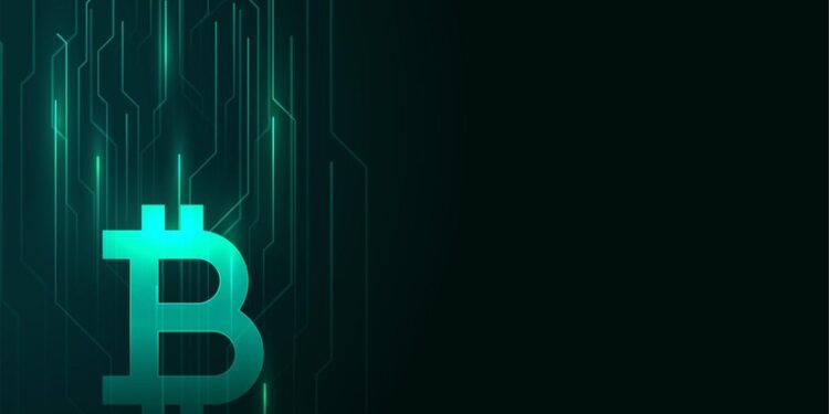 Receita Federal dos EUA acende alerta do mercado ao sinalizar que planeja acabar com anonimato em cripto