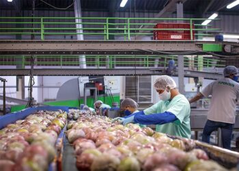 Semiárido conta com R$ 17,6 bilhões do FNE para 2024