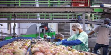 Semiárido conta com R$ 17,6 bilhões do FNE para 2024