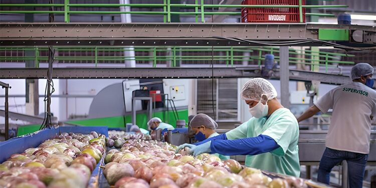 Semiárido conta com R$ 17,6 bilhões do FNE para 2024