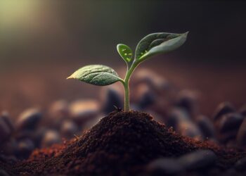 Parlamento Europeu aprova exigência de grandes empresas terem controle socioambiental de sua cadeia de fornecedores