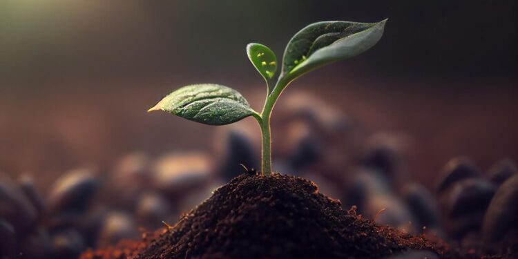 Parlamento Europeu aprova exigência de grandes empresas terem controle socioambiental de sua cadeia de fornecedores