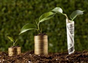 MP oficializa proteção cambial para investimento estrangeiro verde