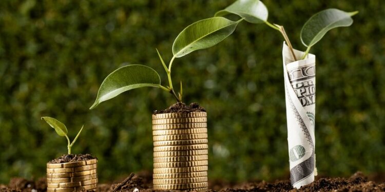 MP oficializa proteção cambial para investimento estrangeiro verde