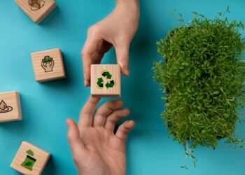 Planeta Brasil Sustentável e Buobe se unem e lançam exclusivo portal sobre desenvolvimento sustentável, meio ambiente e cidadania
