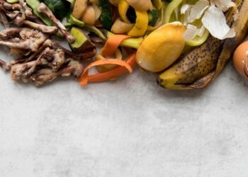 Startup recebe prêmio de sustentabilidade ao criar app que reduz o desperdício de alimentos