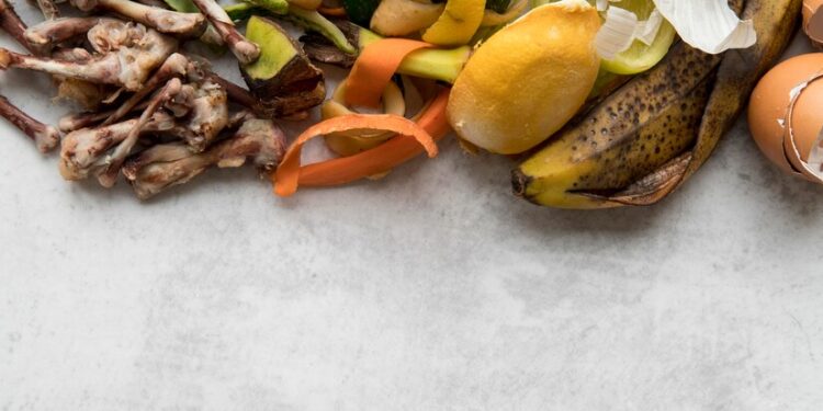 Startup recebe prêmio de sustentabilidade ao criar app que reduz o desperdício de alimentos